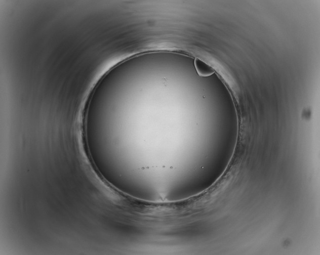 X0000103161187200808221347