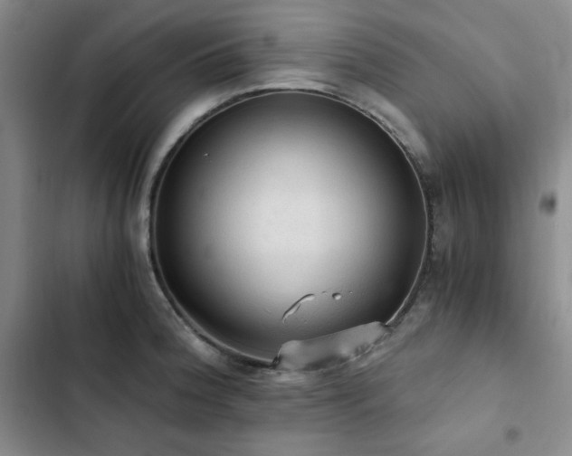 X0000103161188200808221347