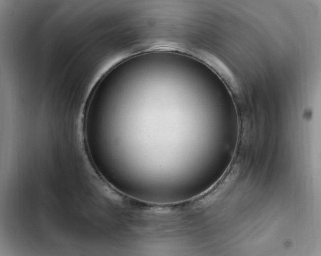 X0000103161190200808221347