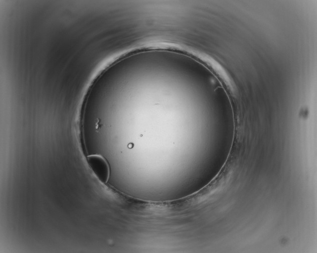 X0000103161191200808221347