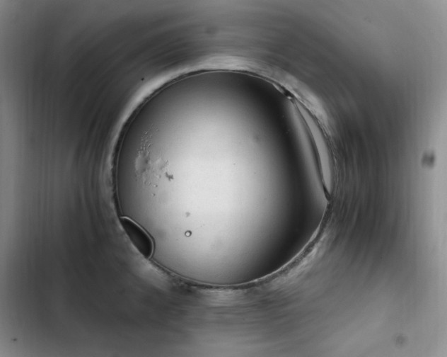 X0000103161192200808221347