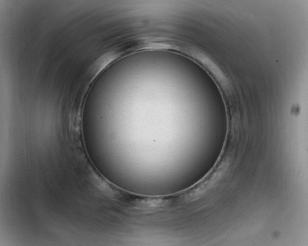 X0000103161193200808221347