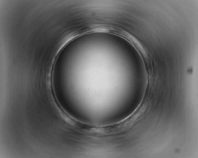 X0000103161194200808221347