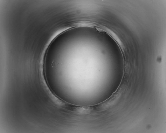 X0000103161195200808221347