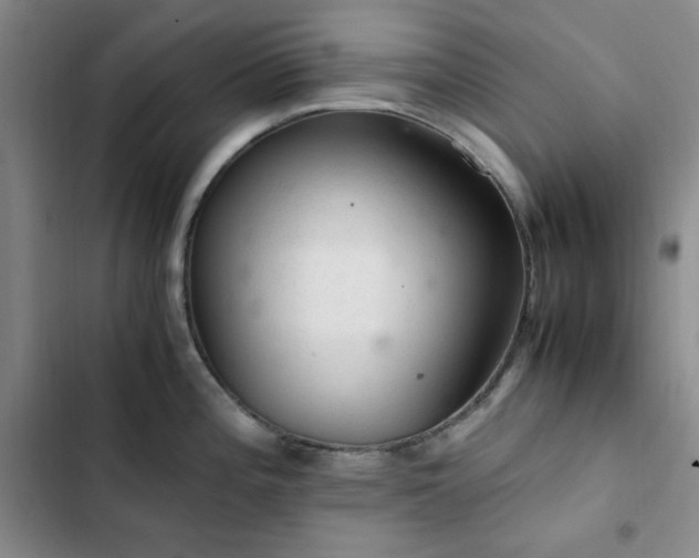 X0000103161196200808221347