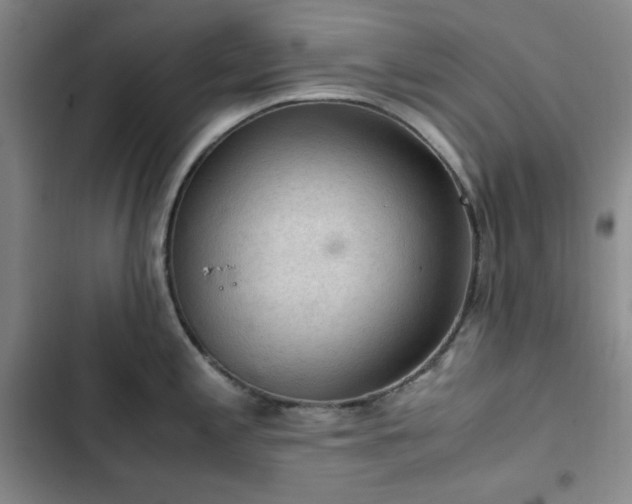 X0000103161197200808221347