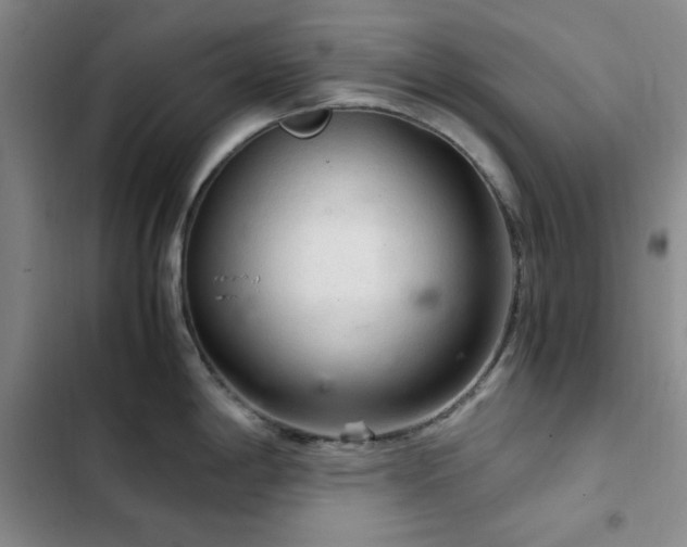 X0000103161198200808221347
