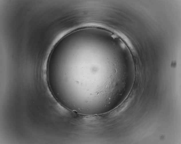 X0000103161199200808221347
