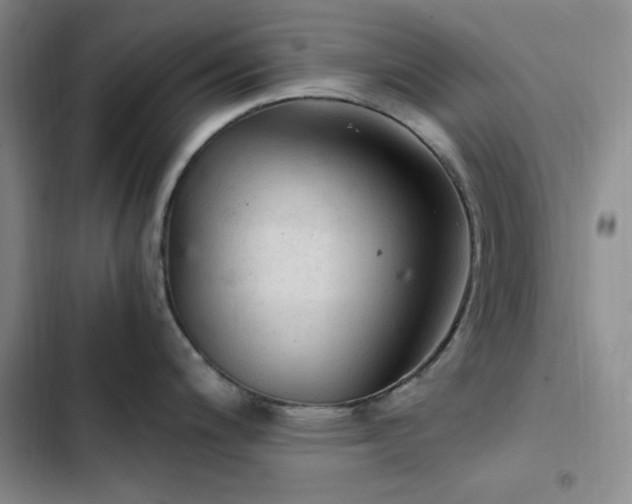 X0000103161200200808221347