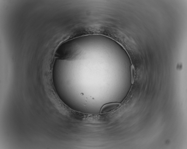 X0000103161201200808221346