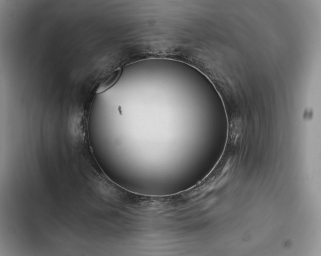 X0000103161202200808221346