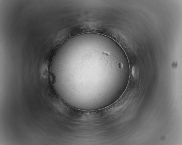 X0000103161203200808221346
