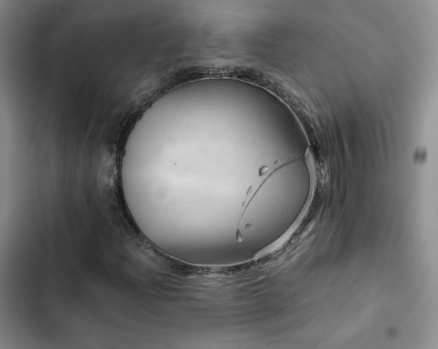 X0000103161204200808221346