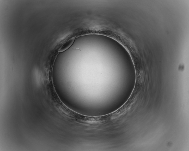 X0000103161205200808221346