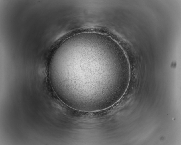X0000103161206200808221346