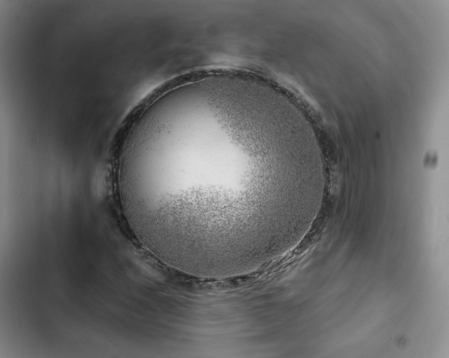 X0000103161208200808221346