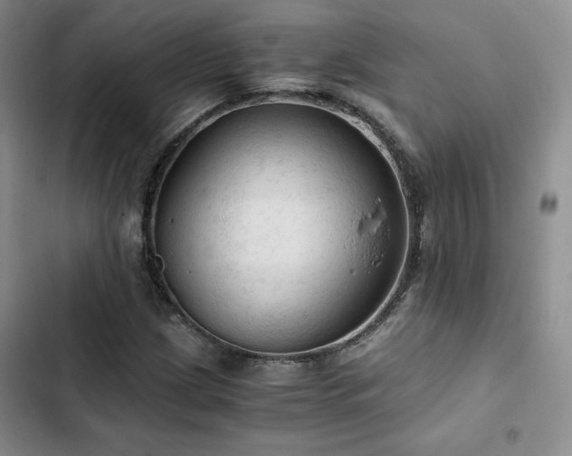 X0000103161209200808221346