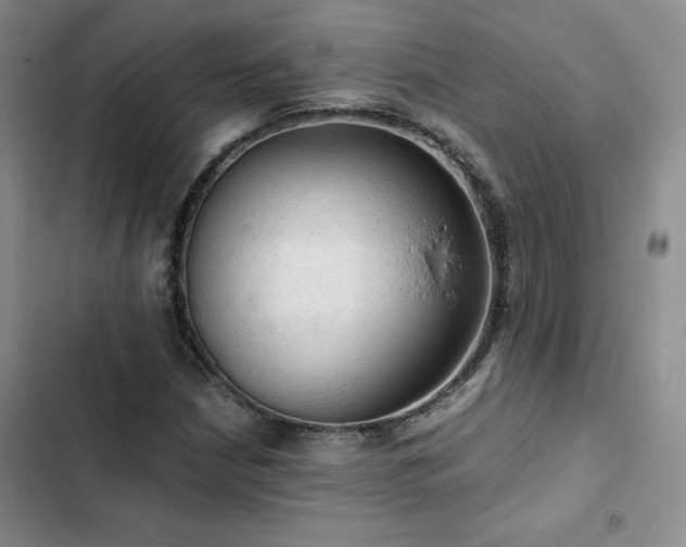 X0000103161210200808221346
