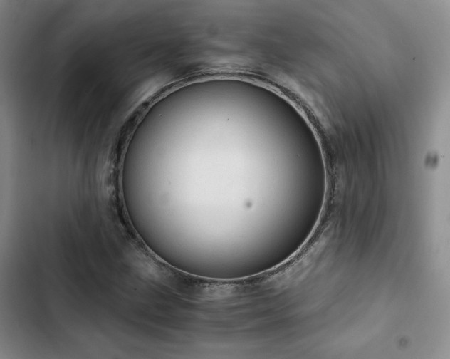 X0000103161211200808221346