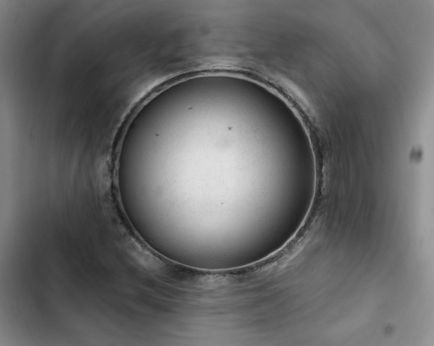 X0000103161212200808221346
