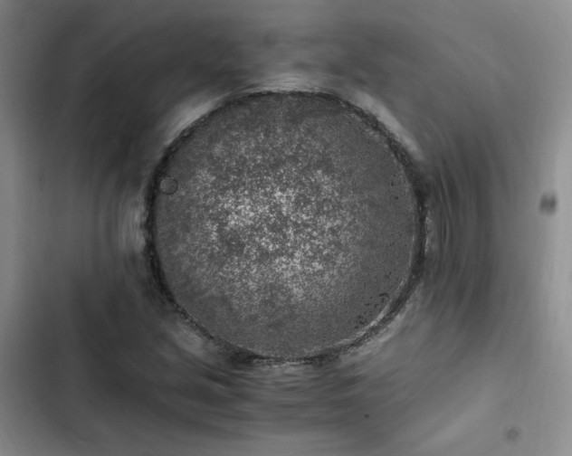 X0000103161213200808221346