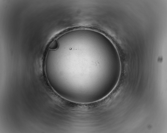 X0000103161214200808221346