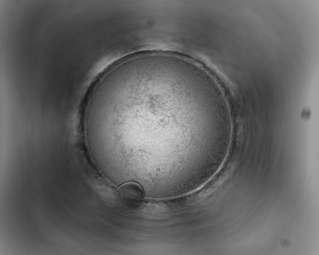 X0000103161215200808221346