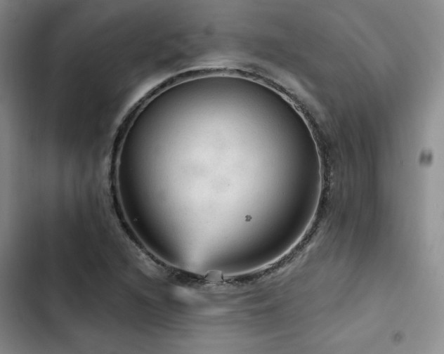 X0000103161216200808221346