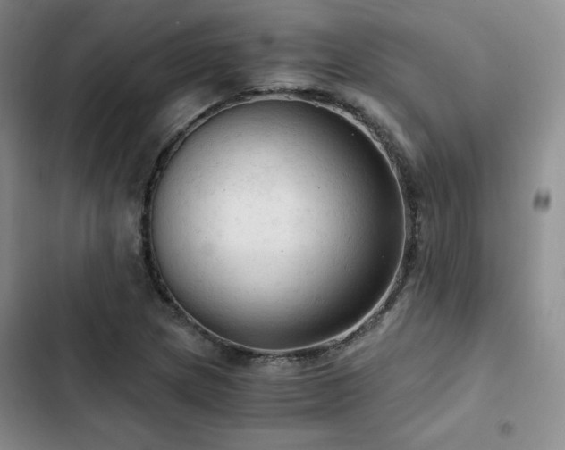 X0000103161217200808221346