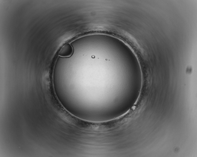 X0000103161218200808221346