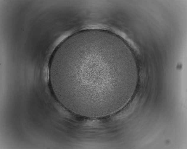 X0000103161221200808221346