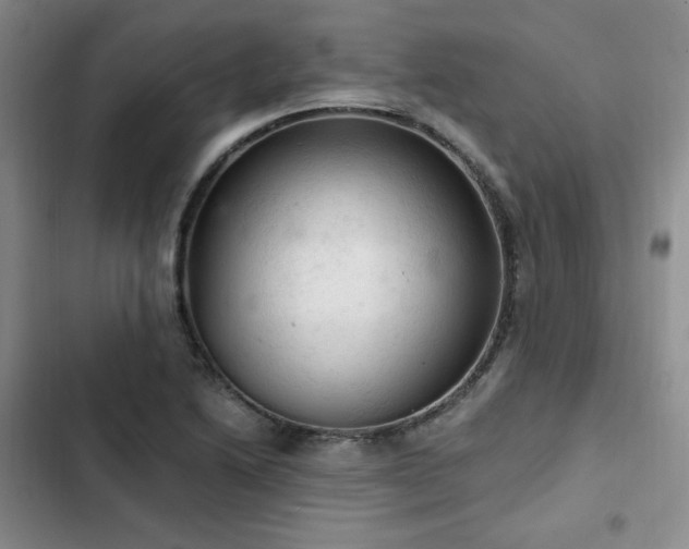 X0000103161222200808221346