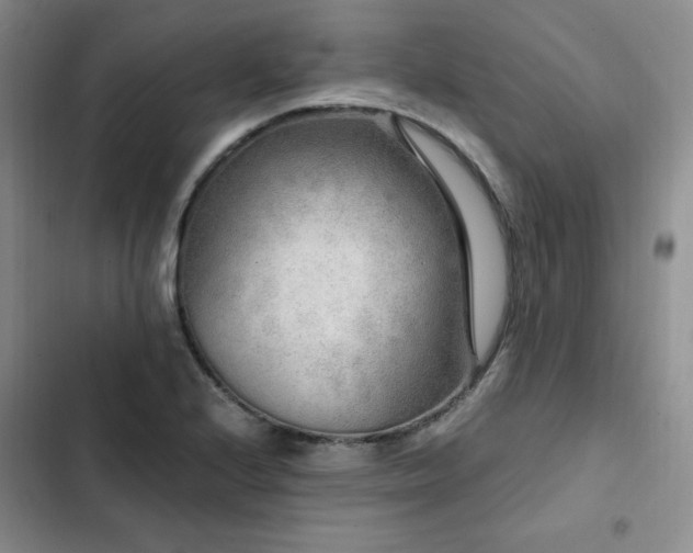 X0000103161224200808221346