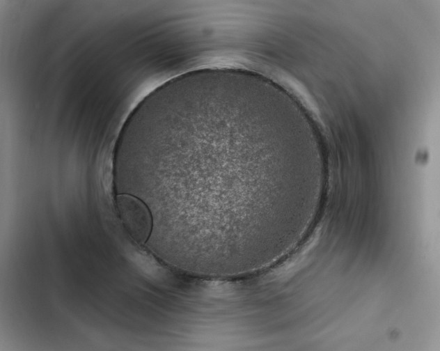 X0000103161226200808221346
