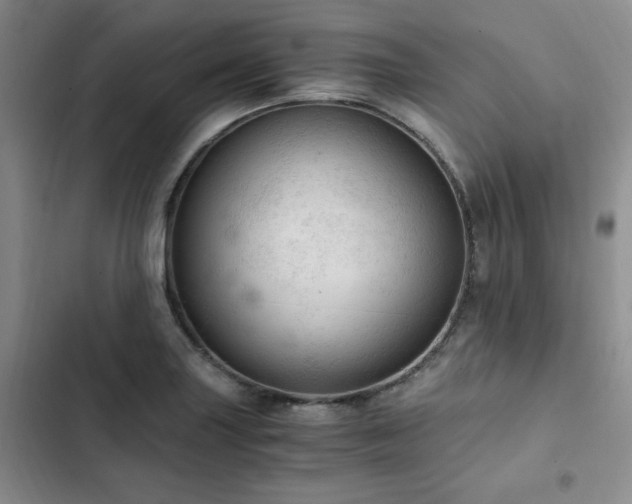 X0000103161227200808221346