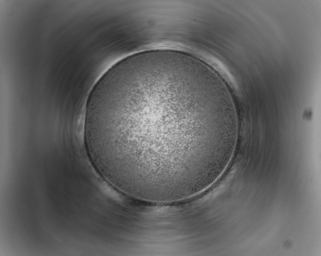 X0000103161228200808221346