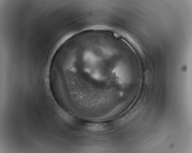 X0000103161229200808221346