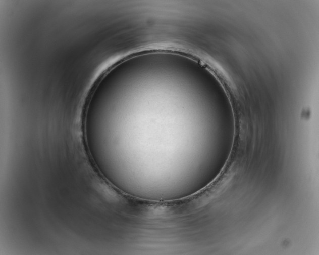 X0000103161230200808221346