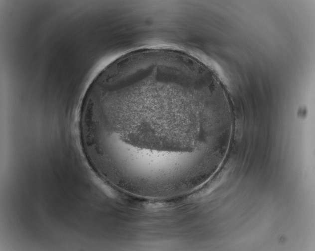 X0000103161231200808221346