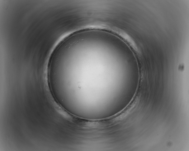 X0000103161232200808221346