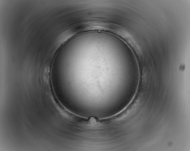 X0000103161233200808221346