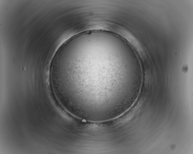 X0000103161234200808221347