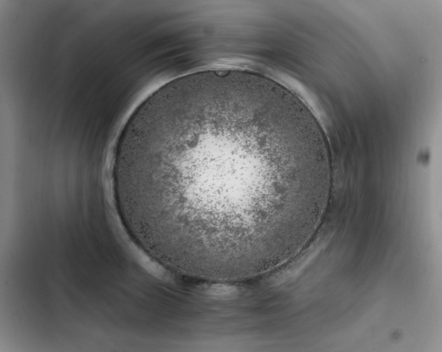 X0000103161235200808221347
