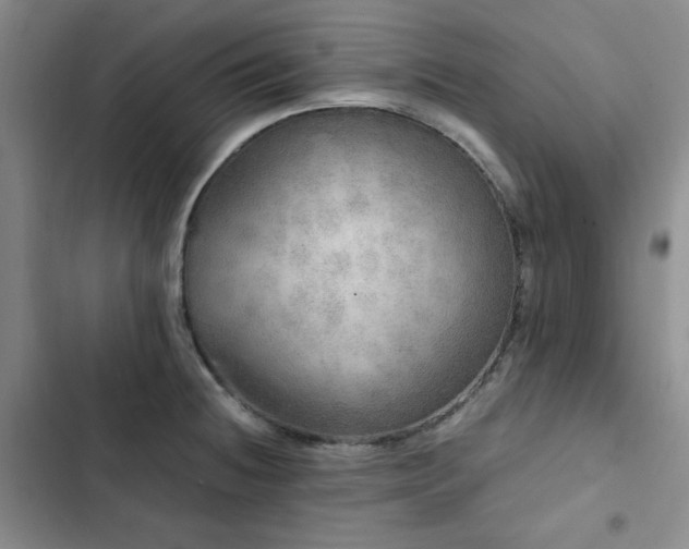 X0000103161236200808221347