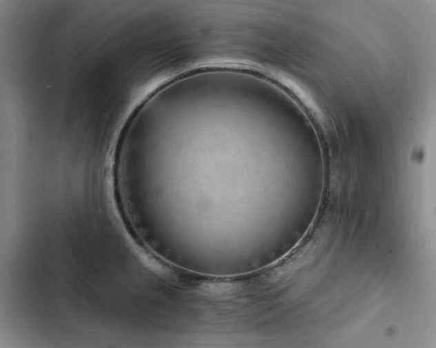 X0000103161237200808221347