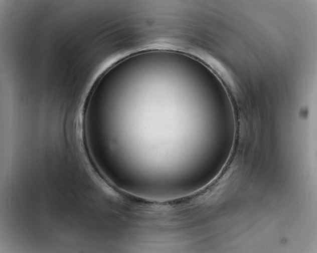 X0000103161238200808221347