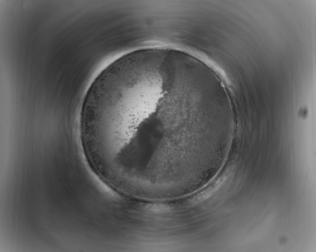 X0000103161239200808221347