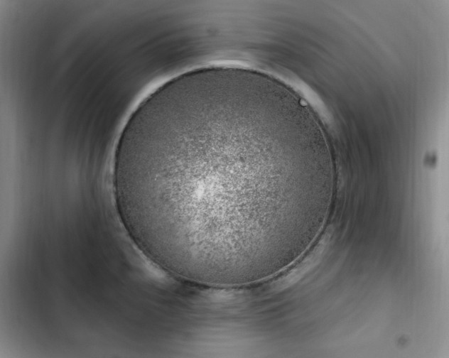 X0000103161240200808221347