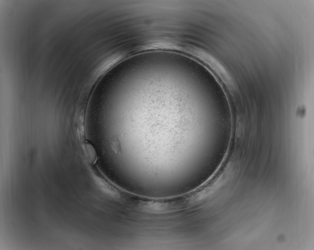 X0000103161241200808221347