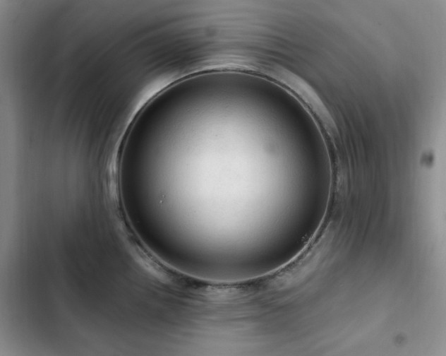 X0000103161242200808221347